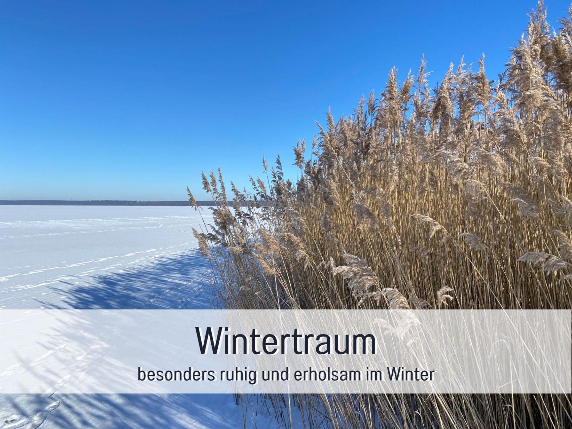 Strandhaus Mathea - Ruhige Lage Direkt Am Fleesensee - Parkplatz, Kamin, Sauna - Familienfreundlich Unter Göhren Extérieur photo