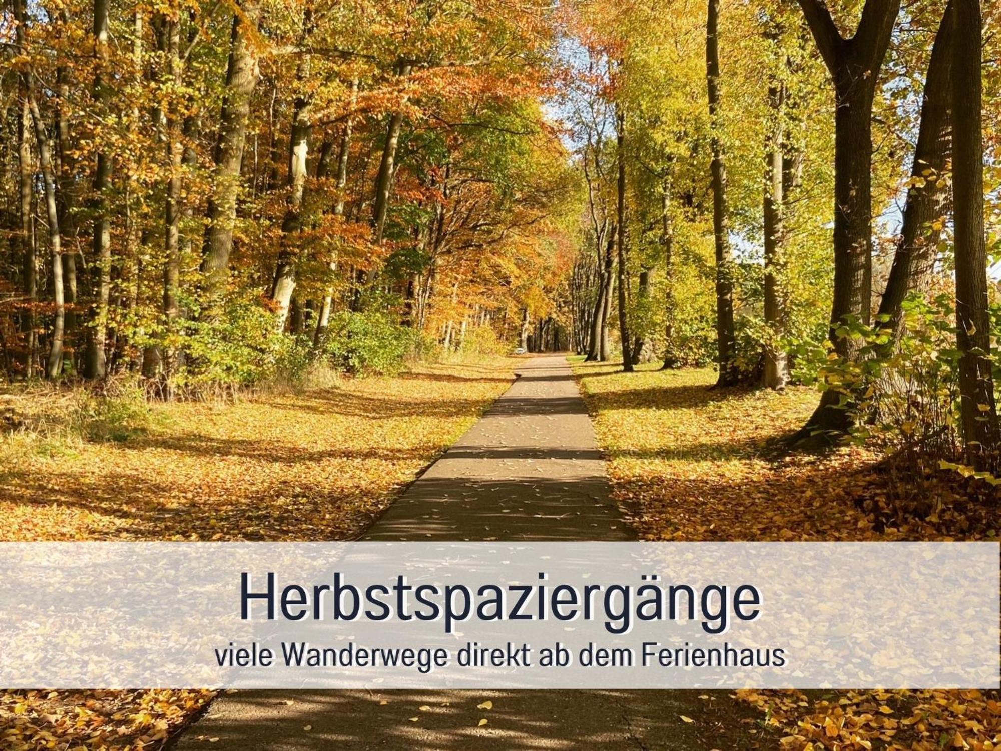 Strandhaus Mathea - Ruhige Lage Direkt Am Fleesensee - Parkplatz, Kamin, Sauna - Familienfreundlich Unter Göhren Extérieur photo